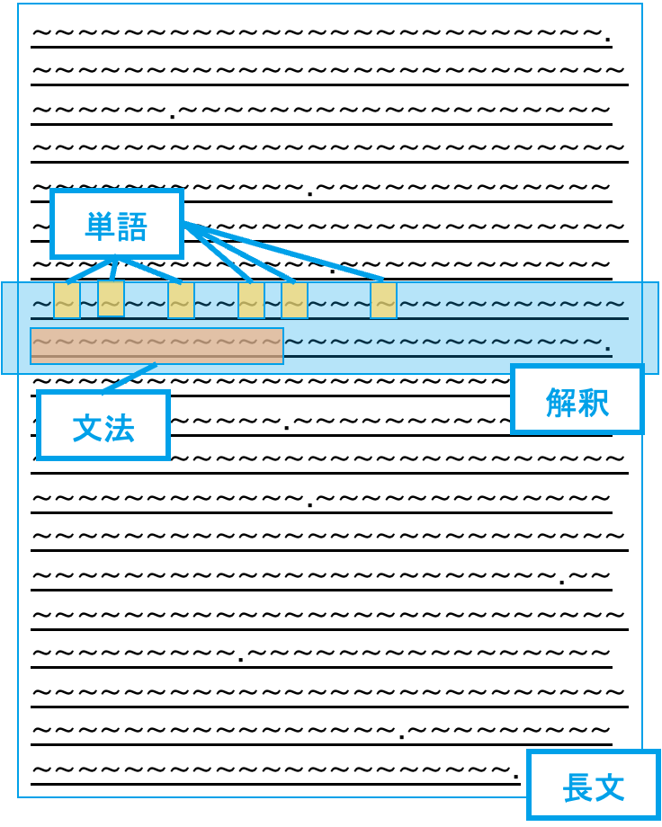 2023年最新版】英語黄金ルート | 東大難関大受験専門塾現論会