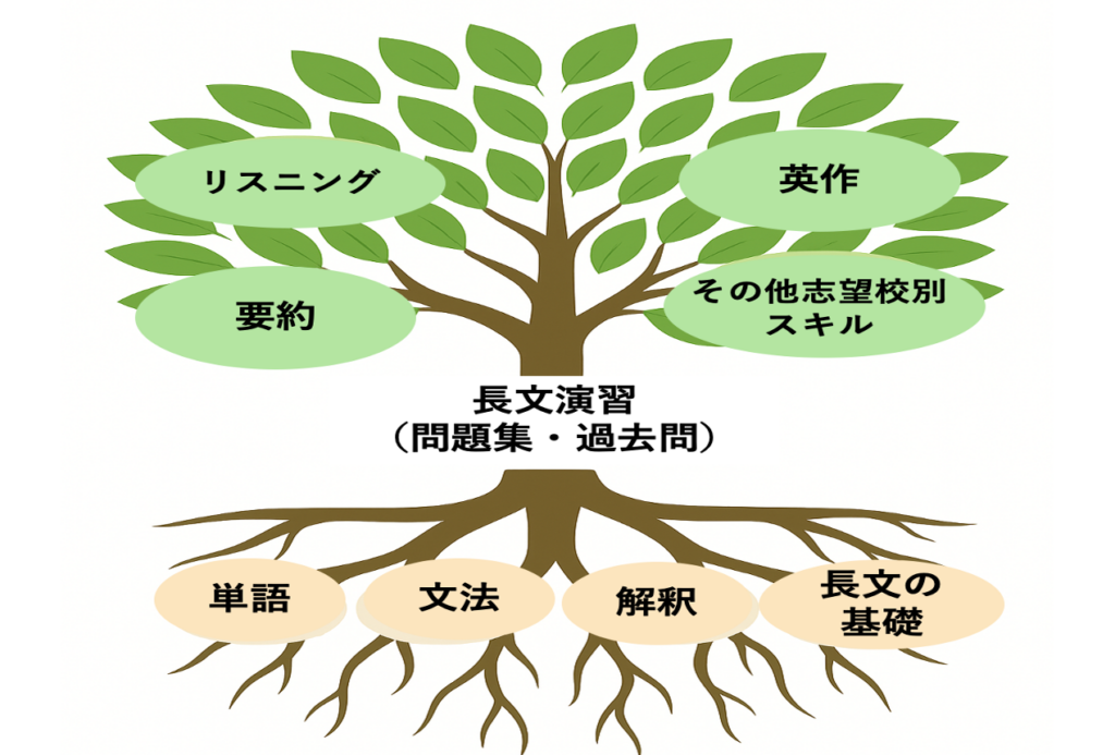 英語学習ステップイメージ図